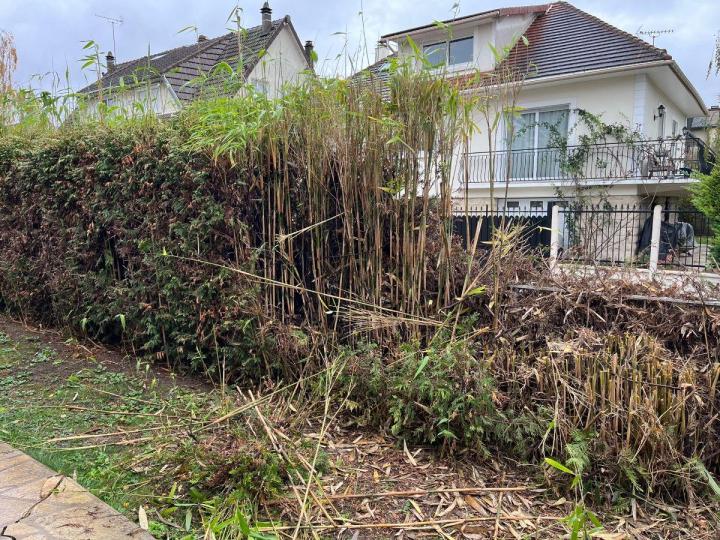 Entretien de jardins Chelles