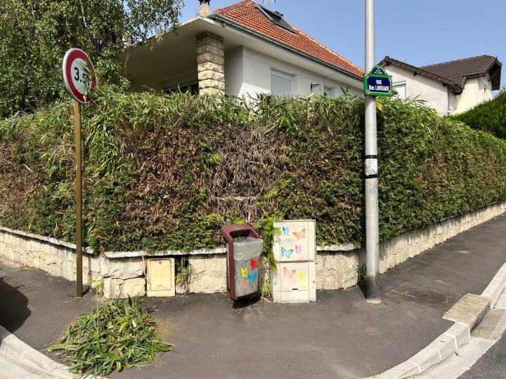 Création de gazon Chelles