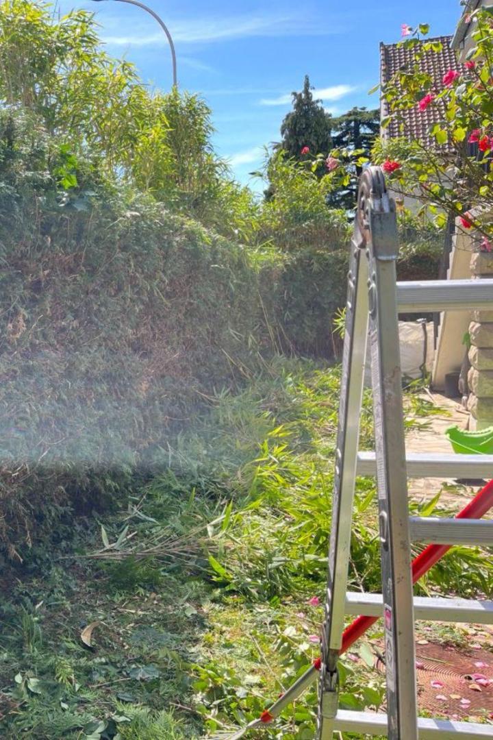 Entretien de jardins Chelles