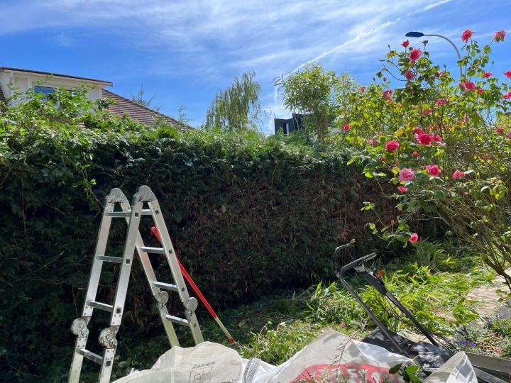 Des paysagistes chevronnés pour réaliser l’entretien de jardins à Chelles 